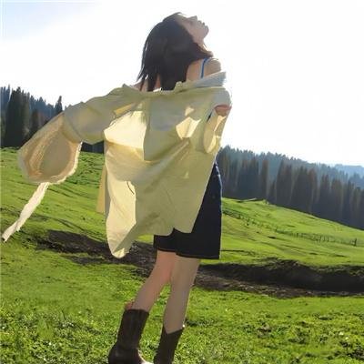 寻找完美先生