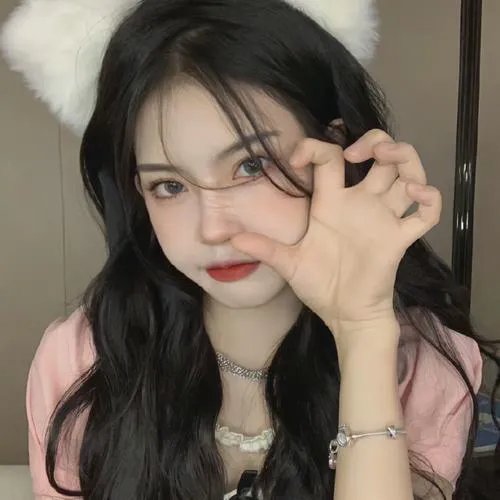 猎鹰飞过